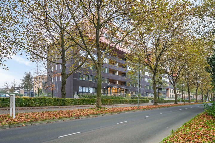 Foto 3 van Wadestein 2