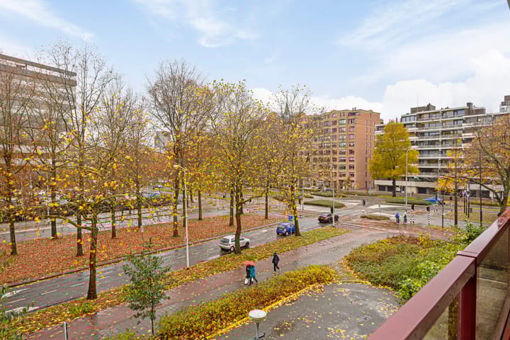 Foto 5 van Borchmolen 34