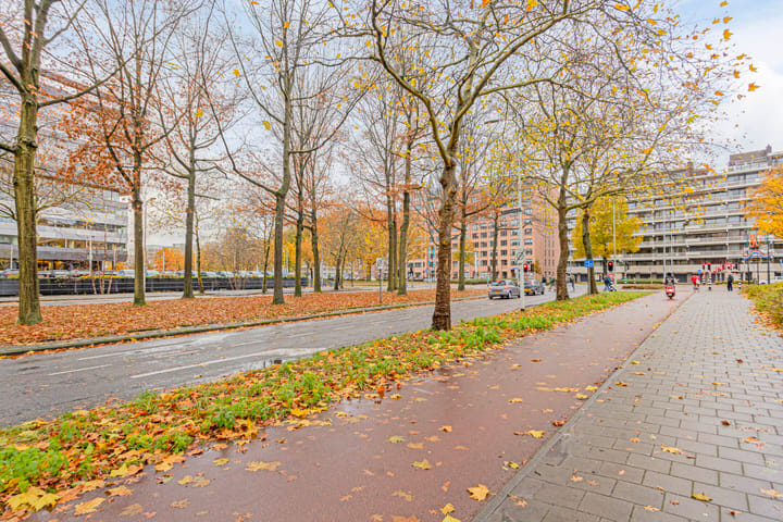 Foto 22 van Borchmolen 34