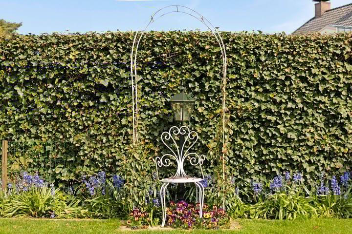 Foto 39 van De Eelinkes 1