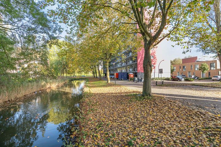 Bekijk foto 34 van Jozef Oreliosingel 53