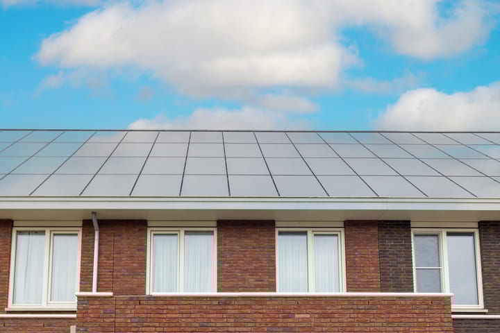 Foto 47 van Griendakker 11