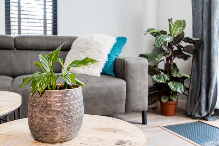 Foto 27 van A.B. van Lieshoutlaan 49