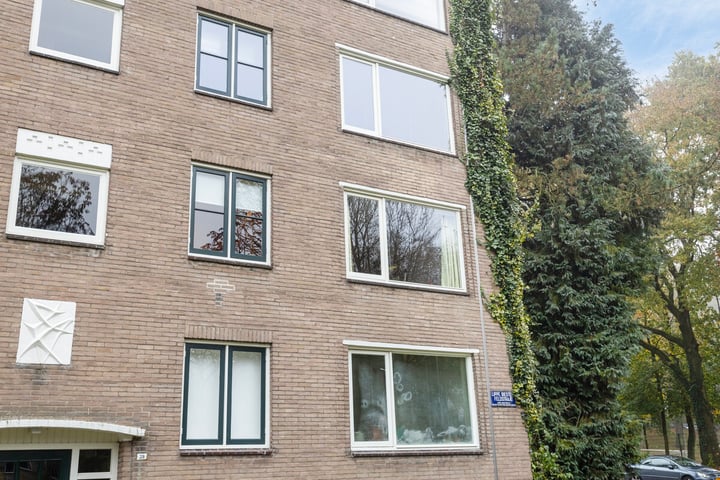 Bekijk foto 41 van Lippe Biesterfeldstraat 39-2