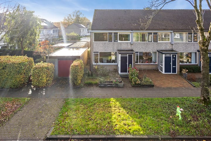 Foto 6 van Jan Jelles Hofleane 71