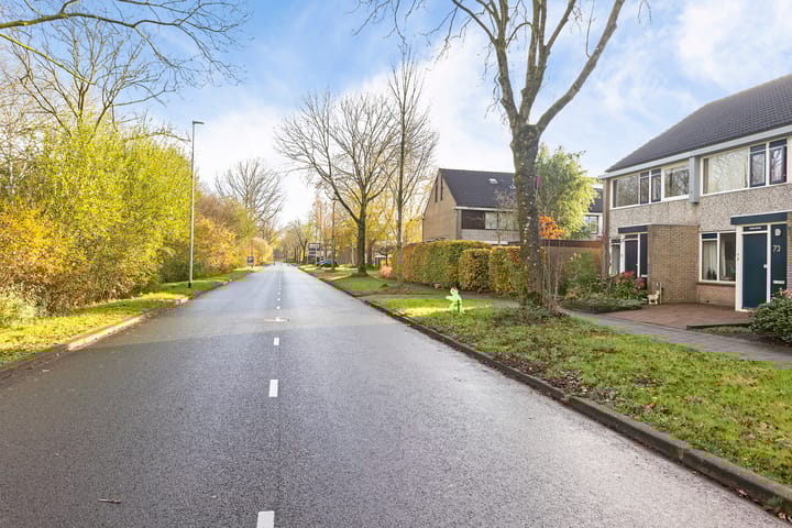 Foto 8 van Jan Jelles Hofleane 71