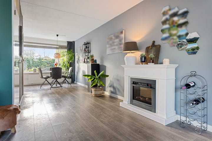 Foto 15 van Jan Jelles Hofleane 71