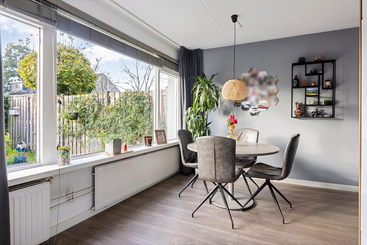 Foto 19 van Jan Jelles Hofleane 71