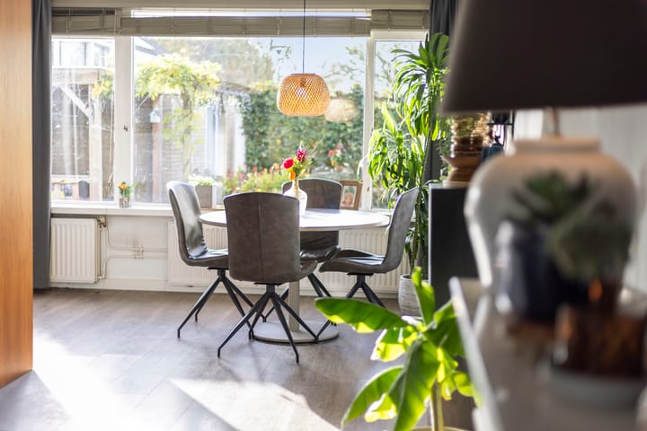 Foto 22 van Jan Jelles Hofleane 71