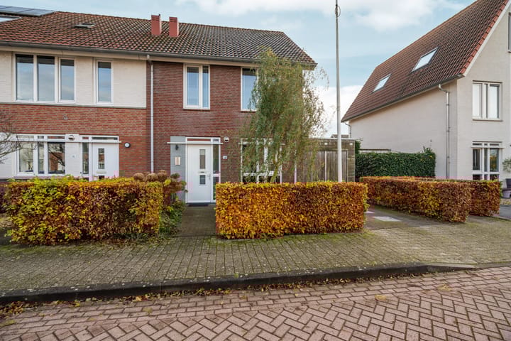 Foto 55 van Vroege van Tol 14