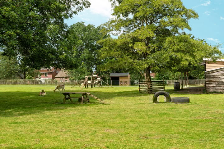 Foto 59 van Vroege van Tol 14