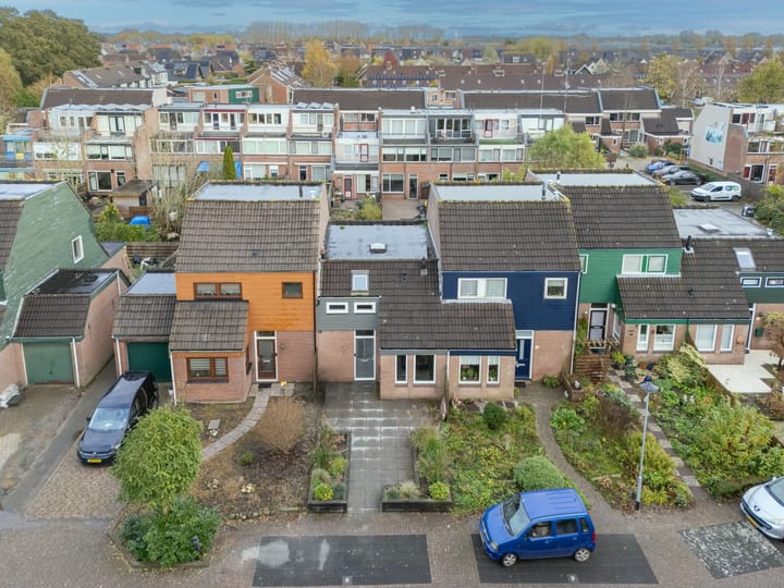 Foto 1 van Steenuil 11