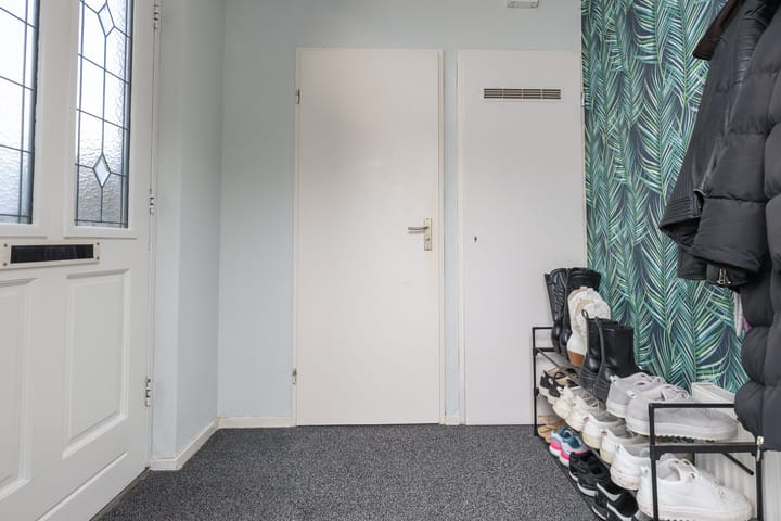 Foto 6 van Steenuil 11