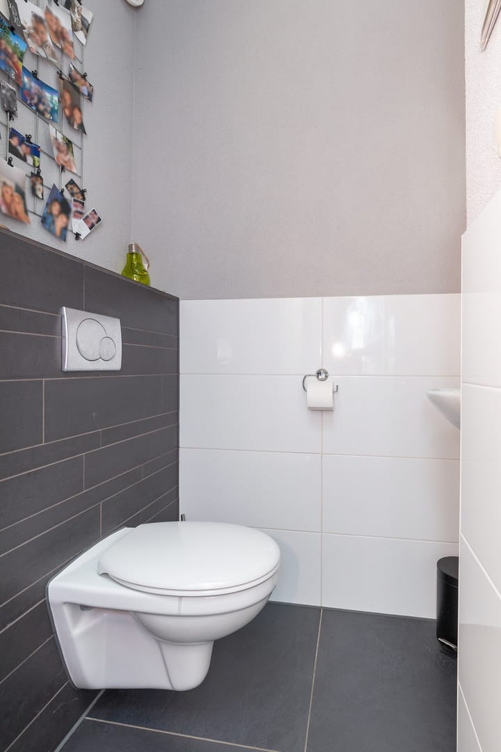 Foto 7 van Steenuil 11