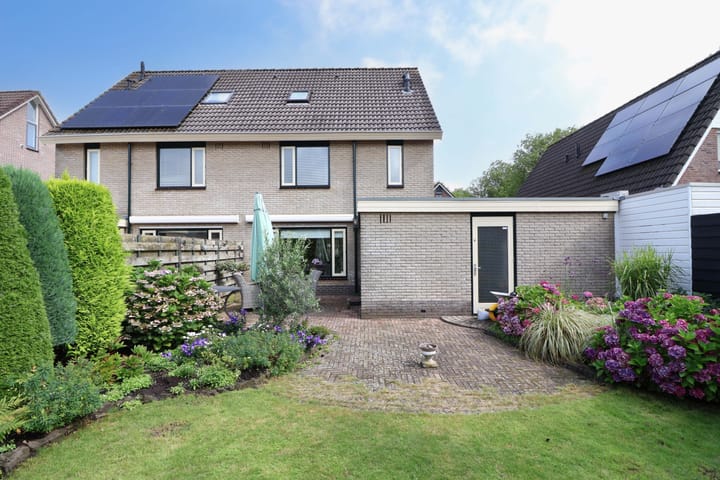 Foto 2 van Plevier 80