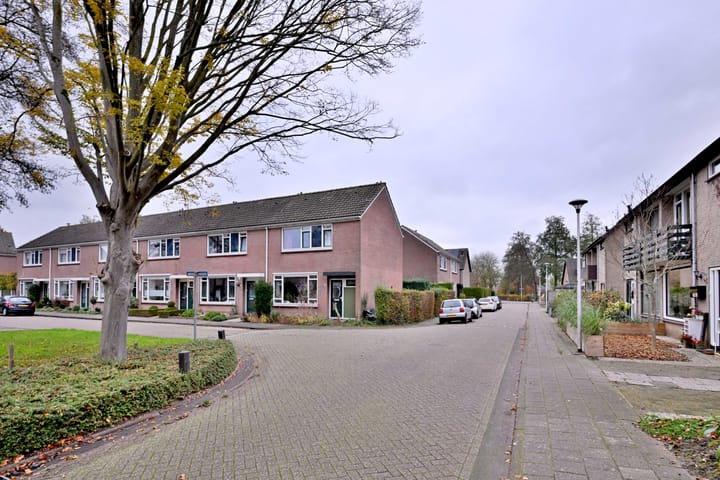 Foto 43 van Johan de Wittstraat 7