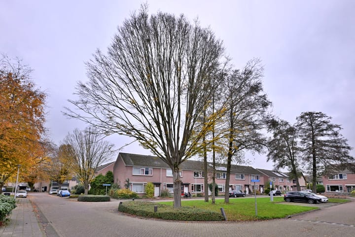 Foto 44 van Johan de Wittstraat 7