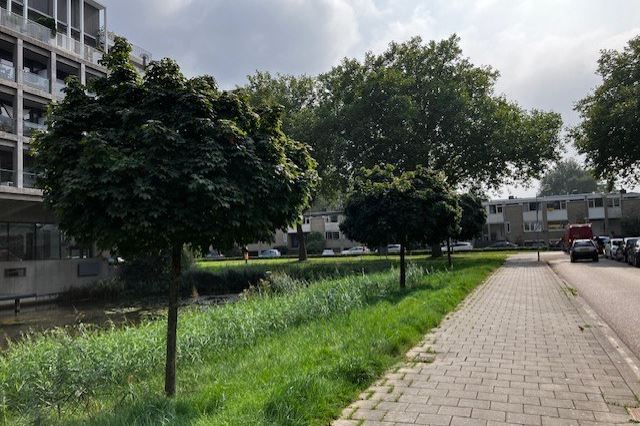 View photo 33 of Schubertsingel 110