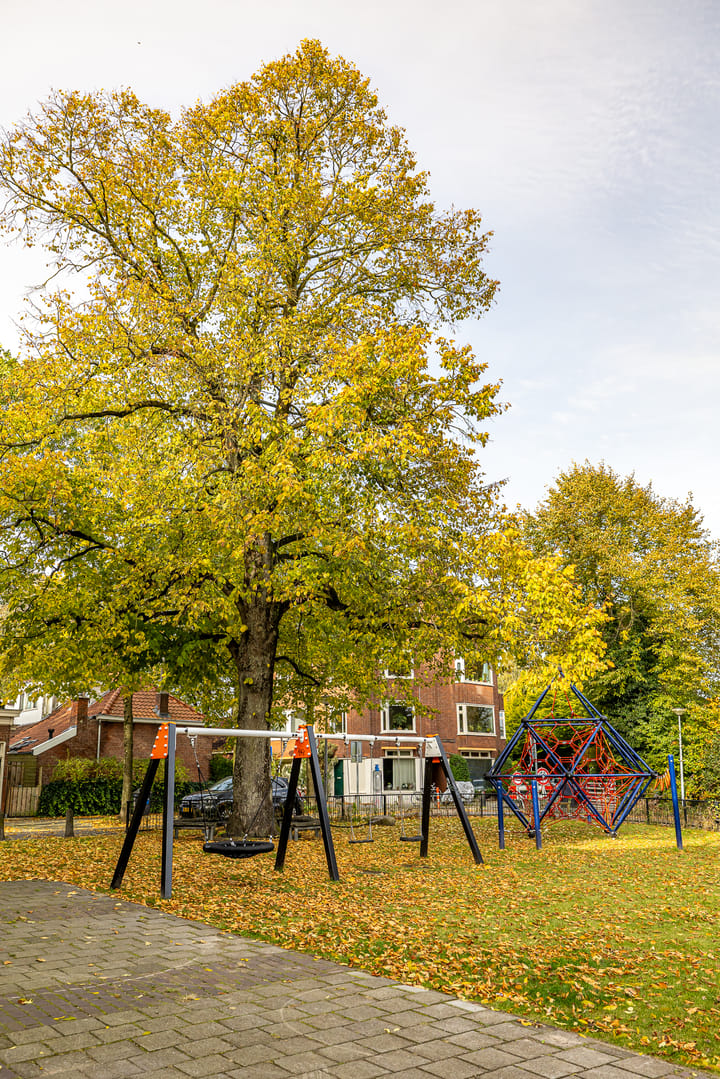 Photo 6 of Verlengde Willemstraat 15