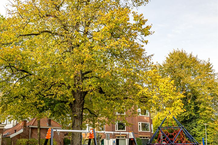 Bekijk foto 6 van Verlengde Willemstraat 15