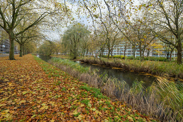 Bekijk foto 4 van Lepelaarsingel 300