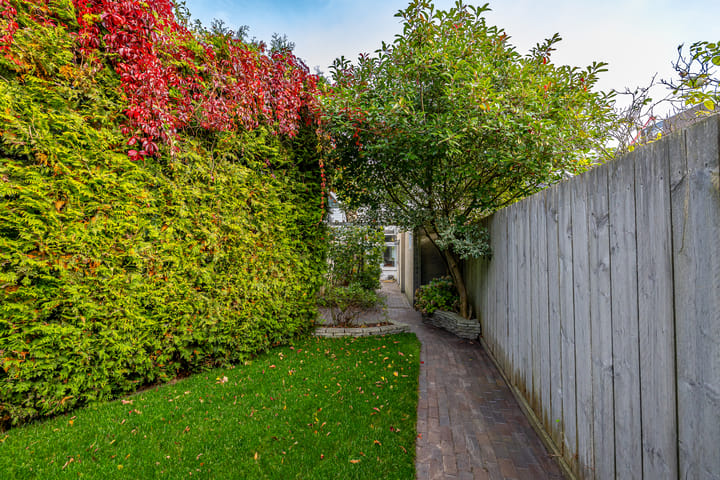 Photo 38 of Verlengde Willemstraat 15