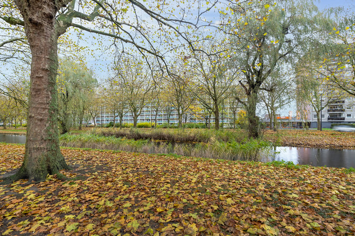 Bekijk foto 24 van Lepelaarsingel 300