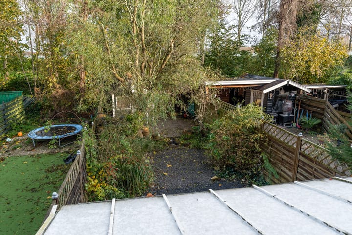 Foto 32 van Zebraspoor 74