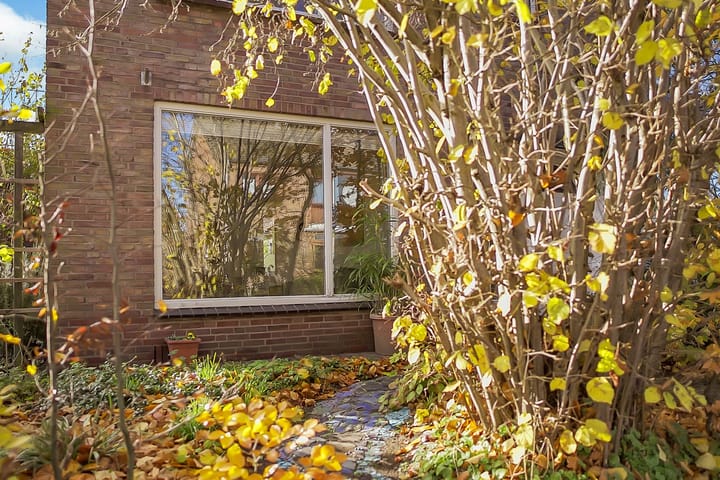 Photo 8 of Anjerlaan 4