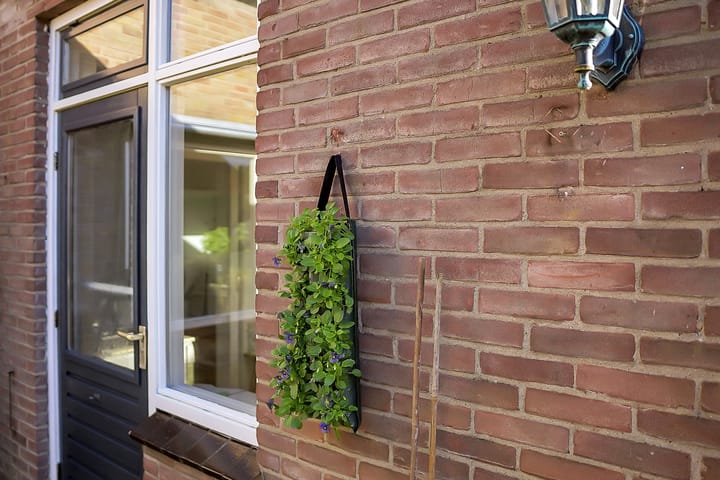 Photo 53 of Anjerlaan 4