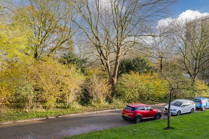 Foto 3 van Van Riebeekstraat 18