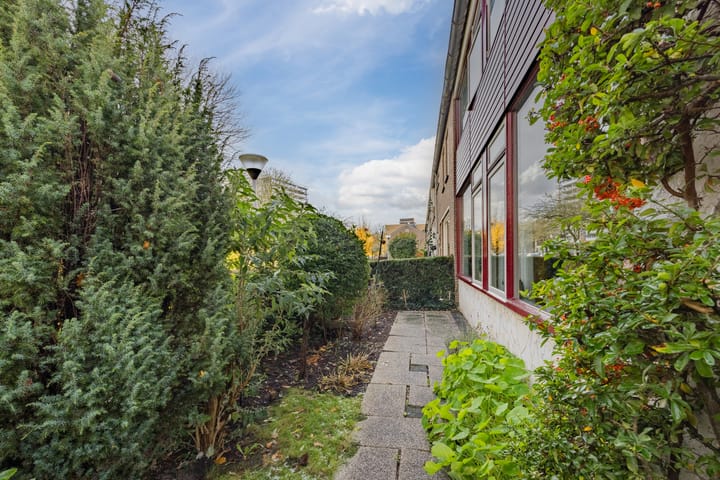 Foto 9 van Van Riebeekstraat 18