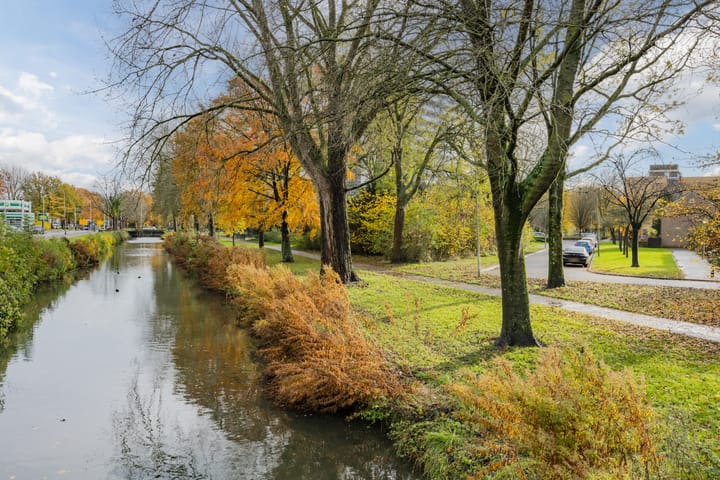 Foto 50 van Van Riebeekstraat 18