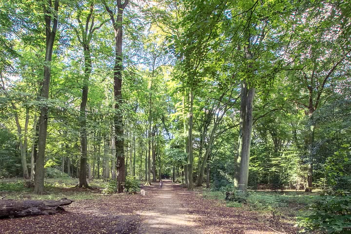 Foto 49 van Floraplein 7