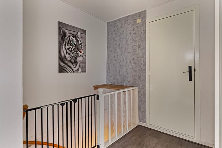 Foto 18 van Potgieterstraat 41