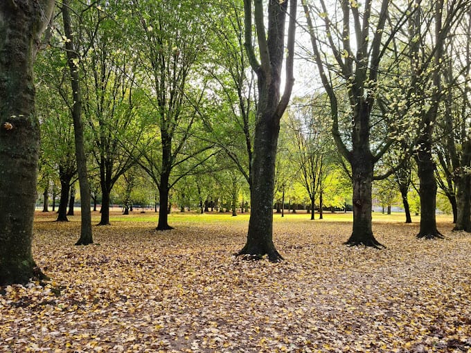 Foto 42 van Nieuwstraat 82