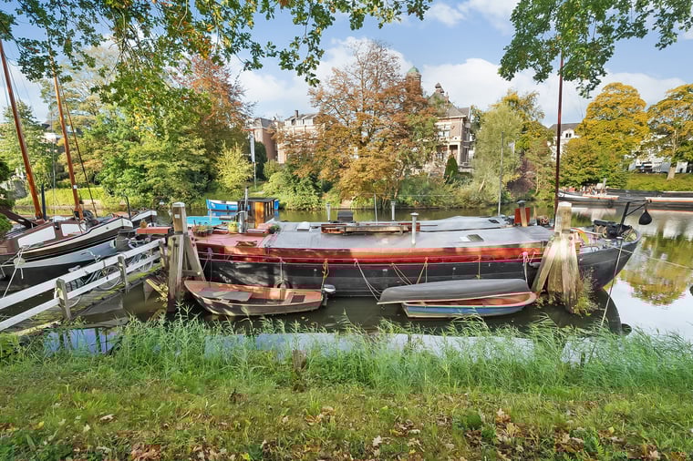 Burgemeester van Roijensingel 29 main image