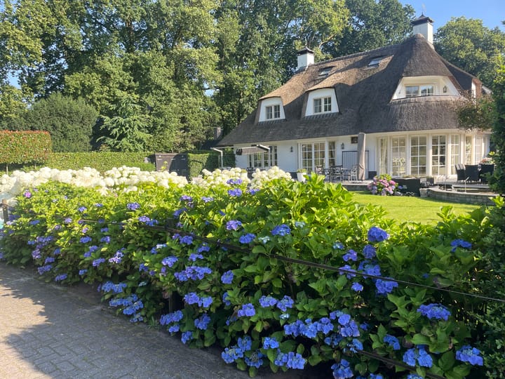 Foto 59 van Bartolottilaan 9