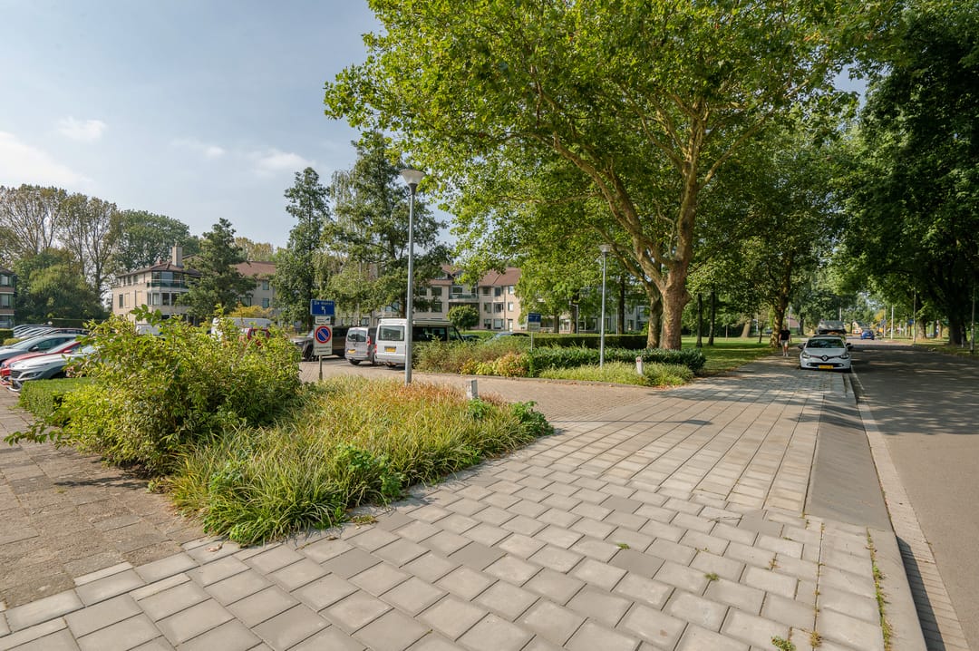 Foto 43 van Anna Paulownaplein 31