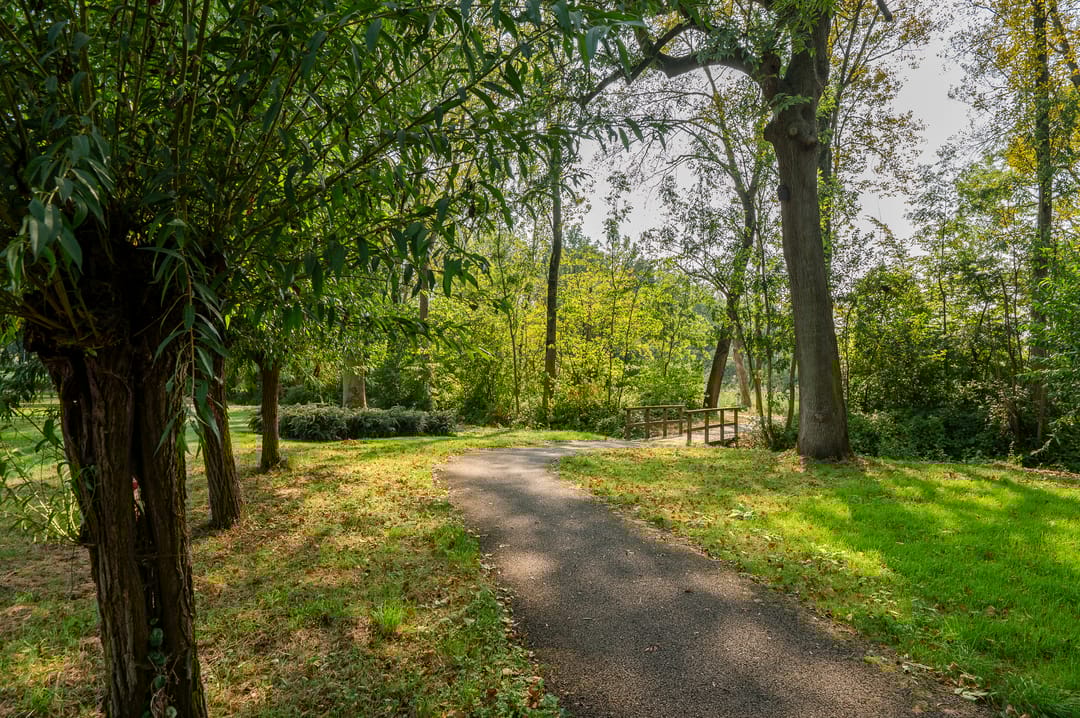 Foto 46 van Anna Paulownaplein 31