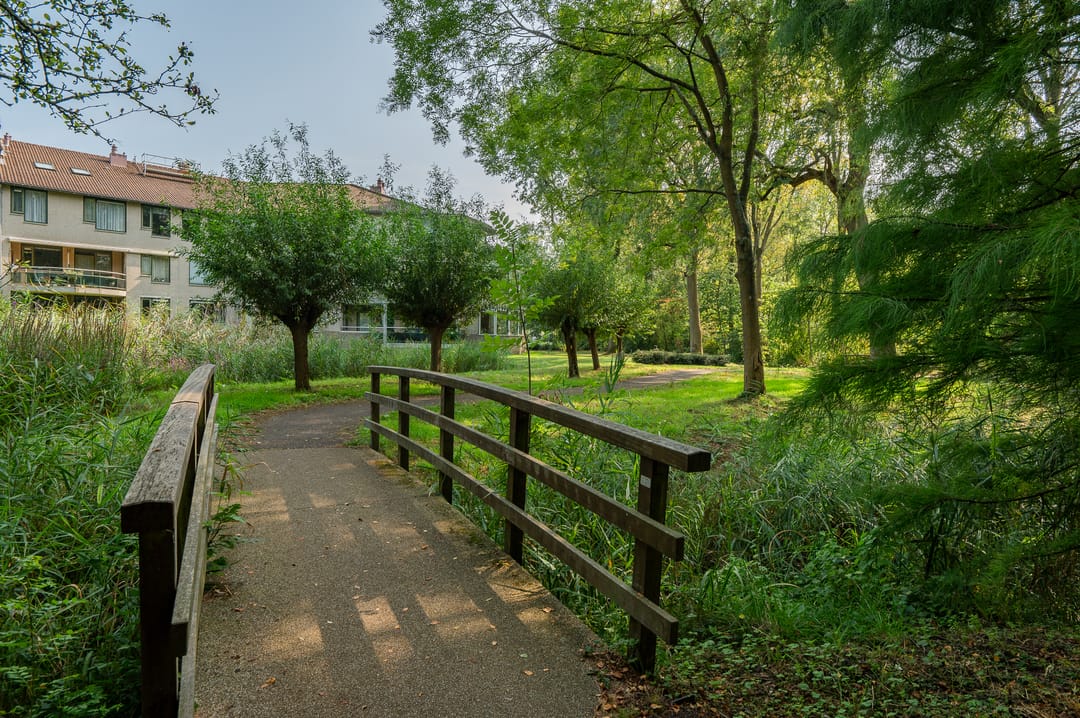 Foto 47 van Anna Paulownaplein 31