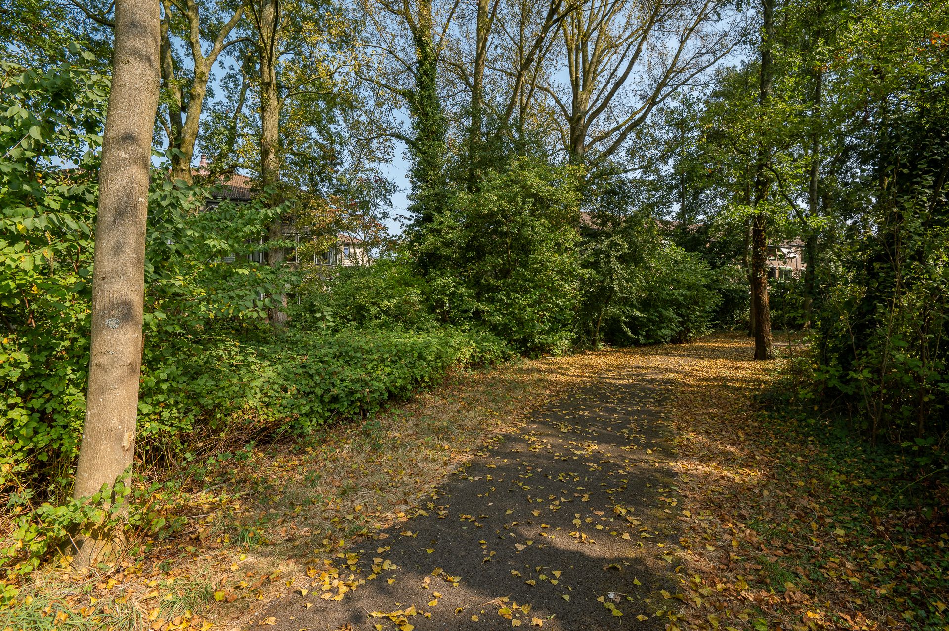 Foto 48 van Anna Paulownaplein 31