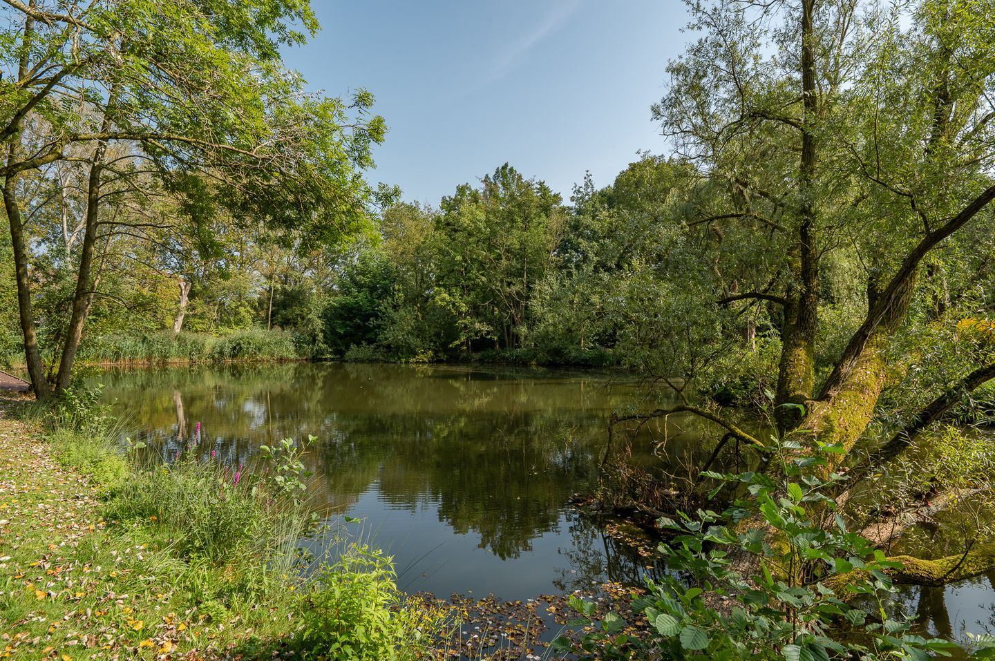 Foto 49 van Anna Paulownaplein 31