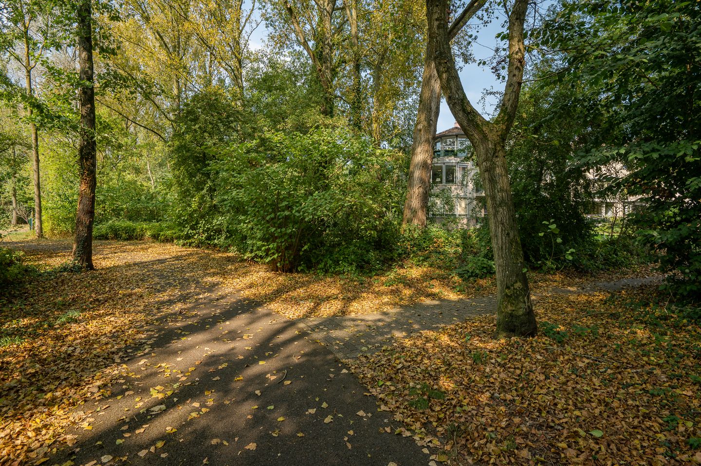 Foto 50 van Anna Paulownaplein 31