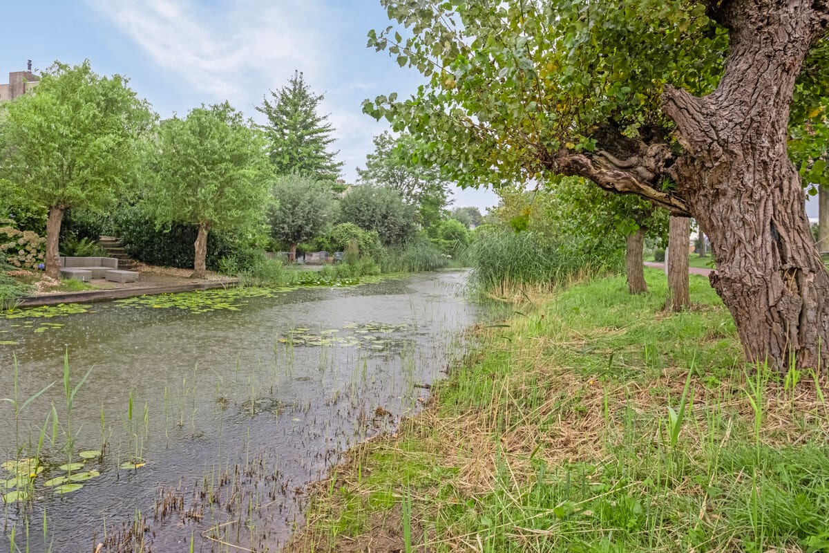 Foto 54 van Elvis Presleystraat 45