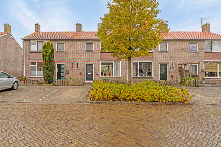 undefined main image