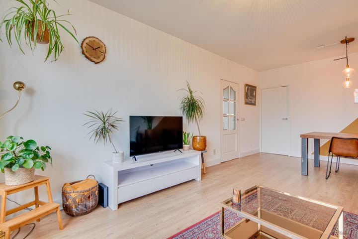 Foto 12 van Maassingel 374