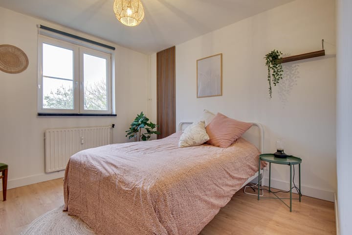 Foto 25 van Maassingel 374