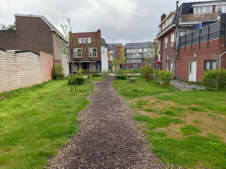 Foto 7 van Blijhamsterstraat