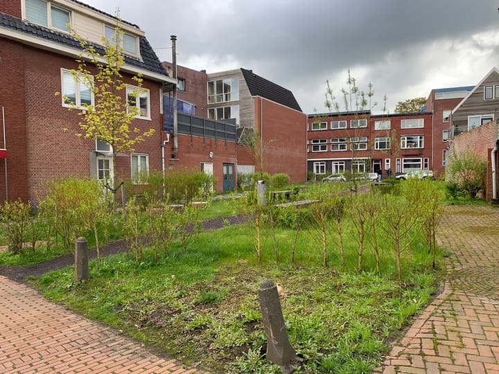 Foto 8 van Blijhamsterstraat